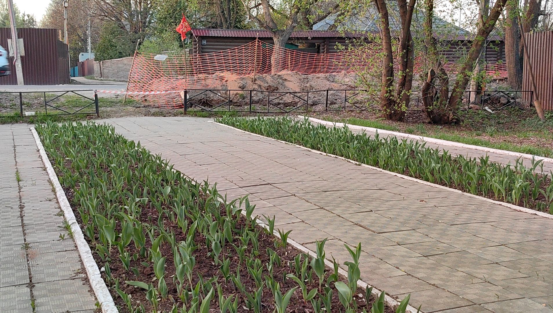 памятник, тюльпаны, уборка, вов, 9 мая, волонтеры,