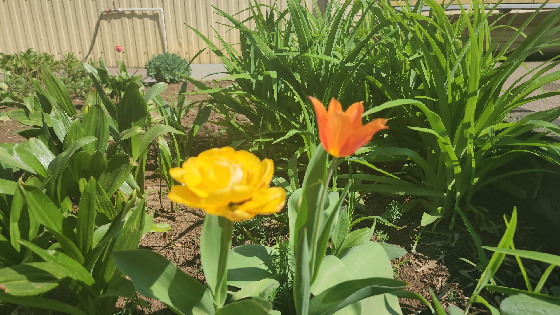 Люберцы, отопительный сезон, отопление,