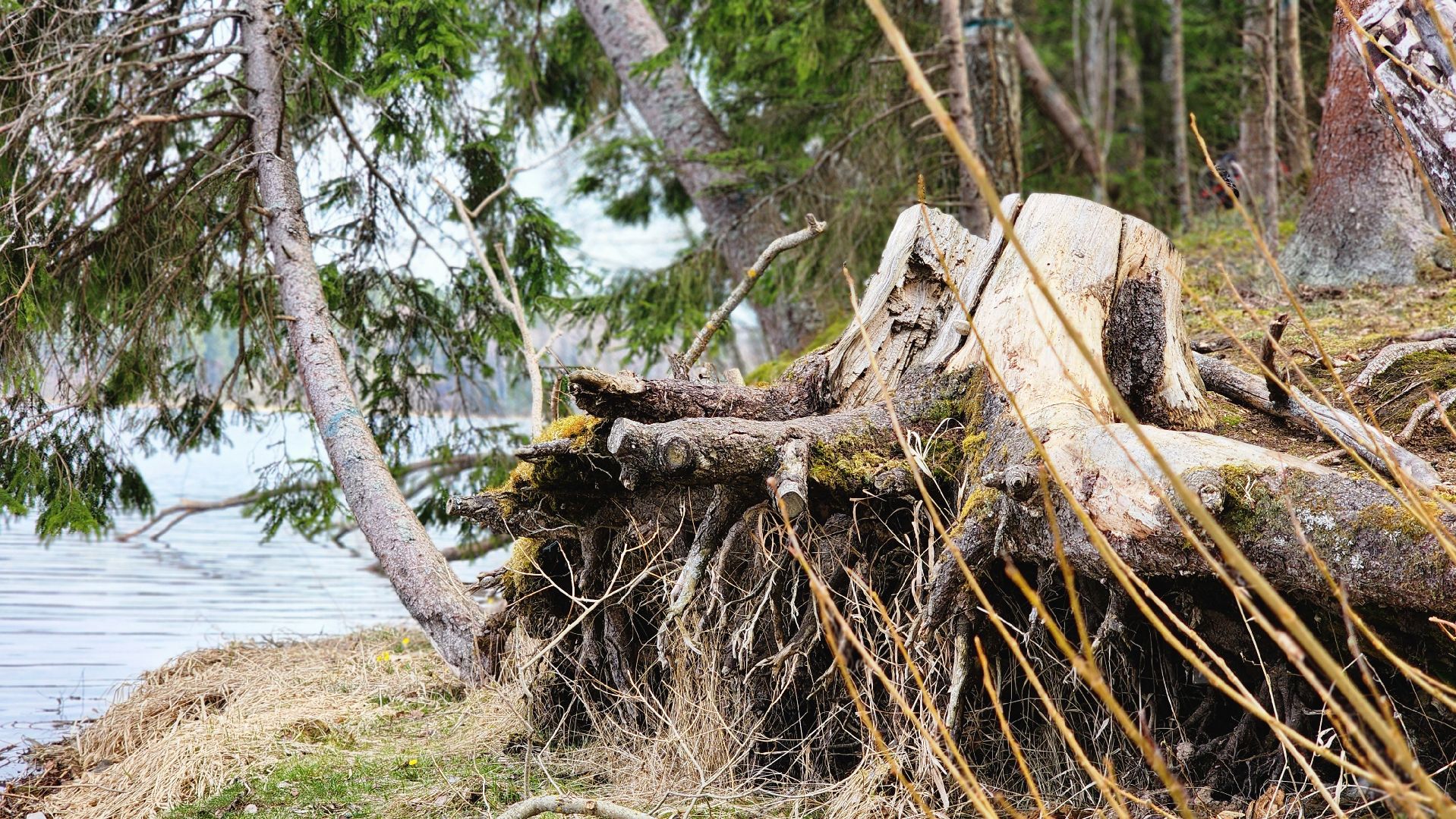 глэмпинг, руза, туризм, туризм в рузе, рузское водохранилище, семейный отдых,
