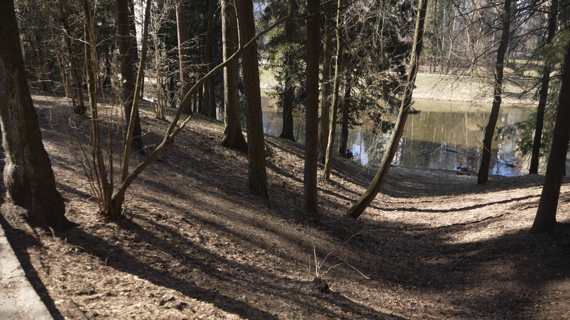 чистый берег, власиха озеро, среднее озеро власиха, уборка территории,