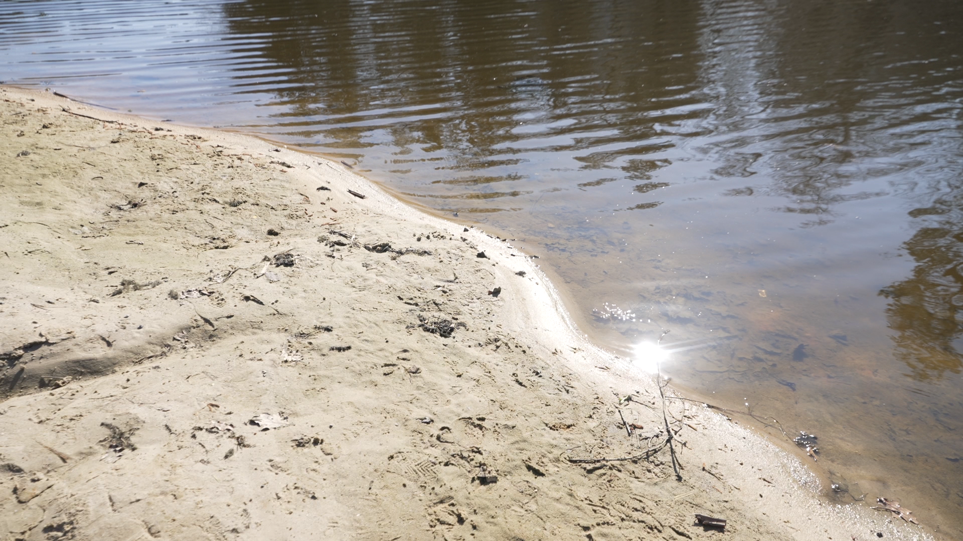 чистый берег, власиха озеро, среднее озеро власиха, уборка территории,