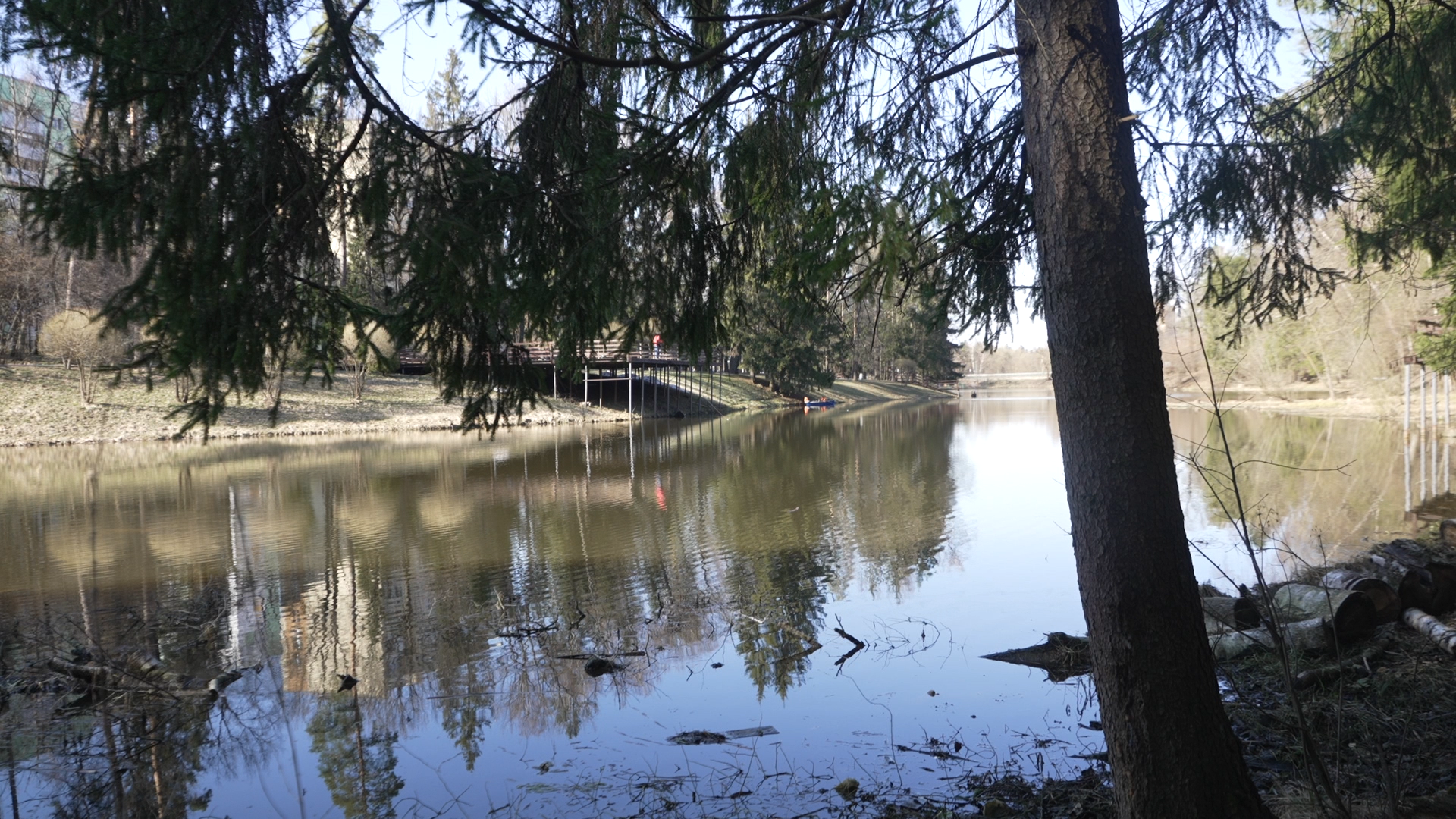 чистый берег, власиха озеро, среднее озеро власиха, уборка территории,