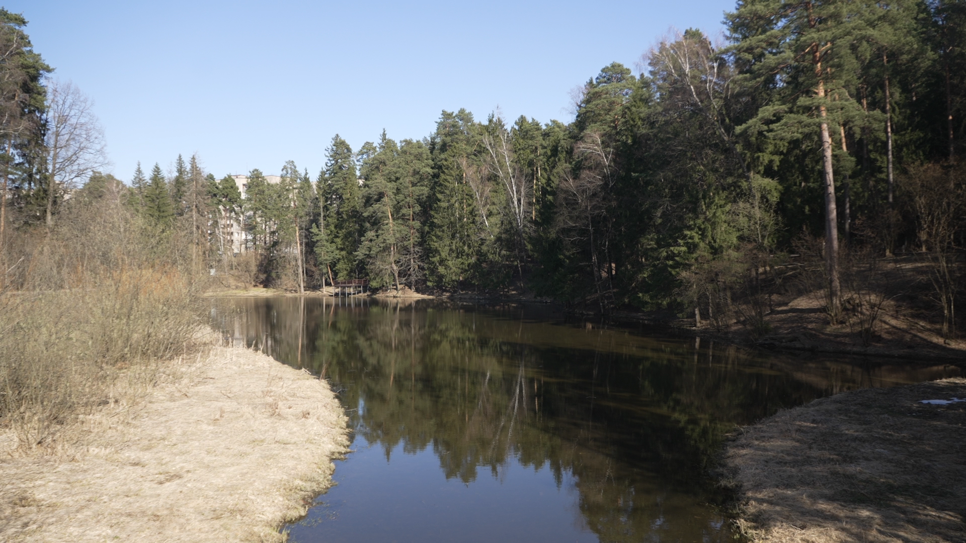 чистый берег, власиха озеро, среднее озеро власиха, уборка территории,