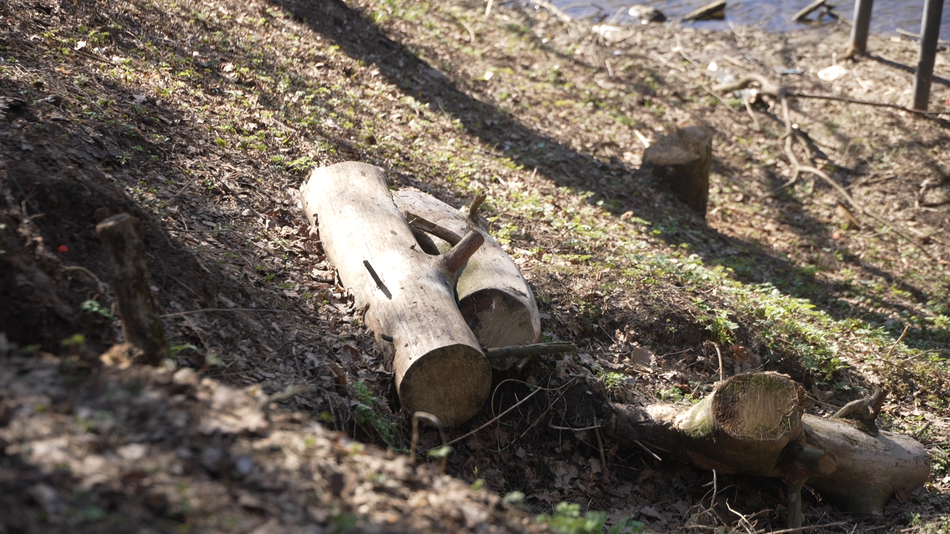 чистый берег, власиха озеро, среднее озеро власиха, уборка территории,