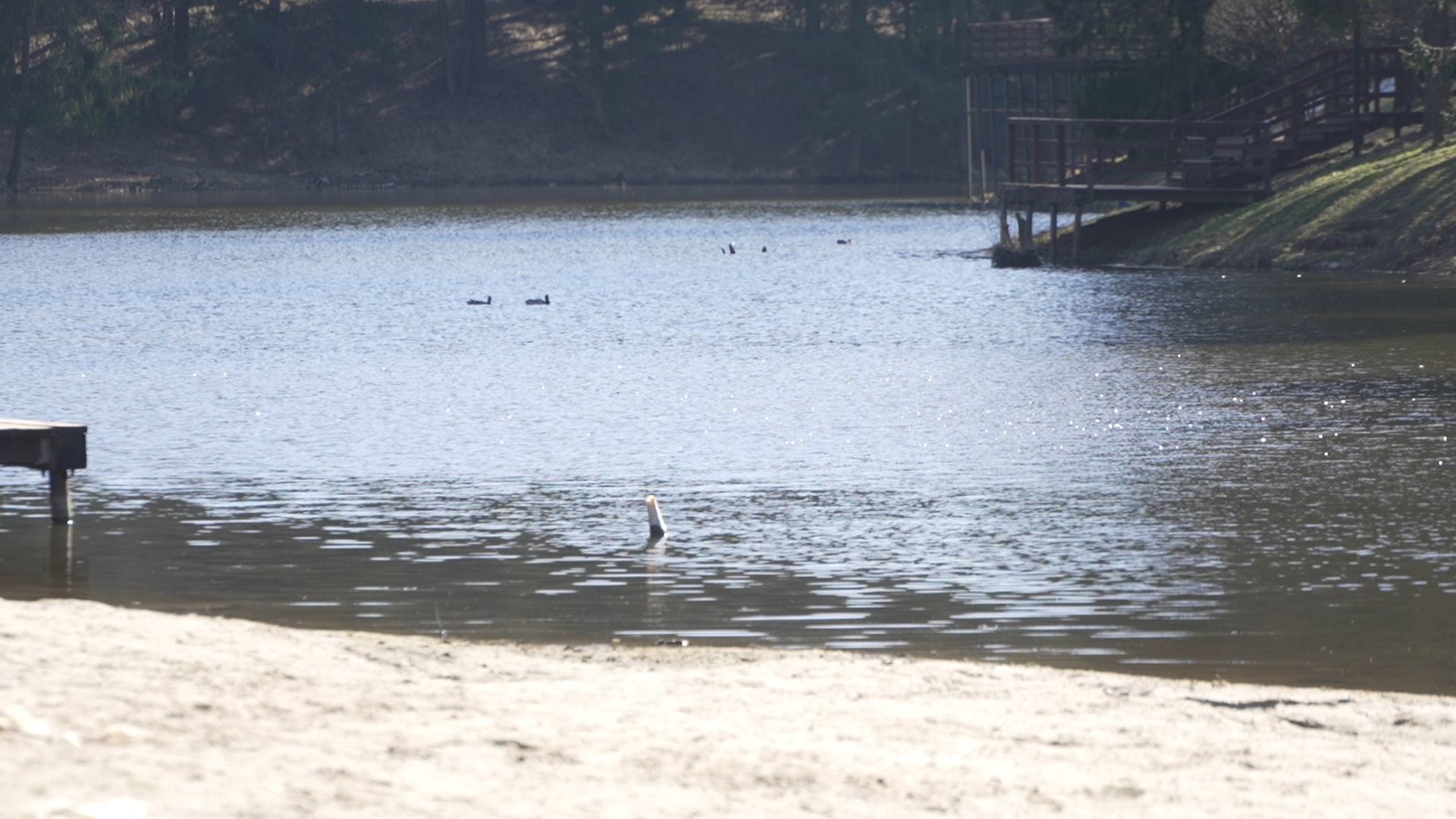чистый берег, власиха озеро, среднее озеро власиха, уборка территории,
