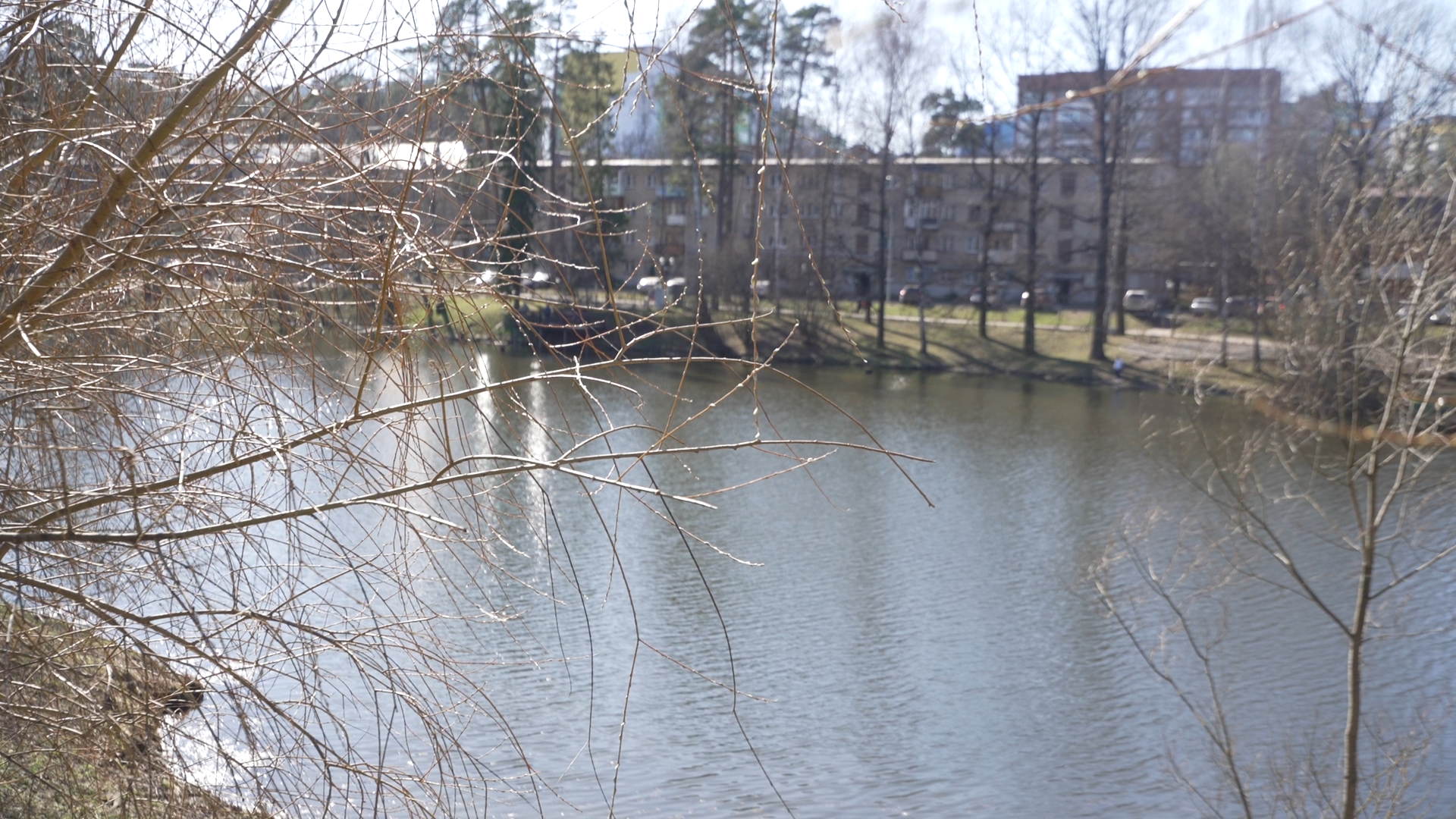 чистый берег, власиха озеро, среднее озеро власиха, уборка территории,
