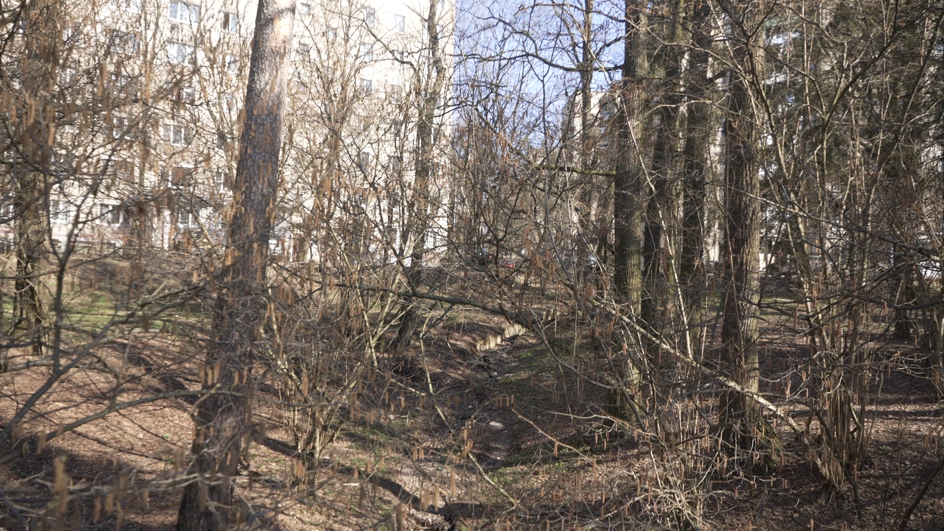 чистый берег, власиха озеро, среднее озеро власиха, уборка территории,