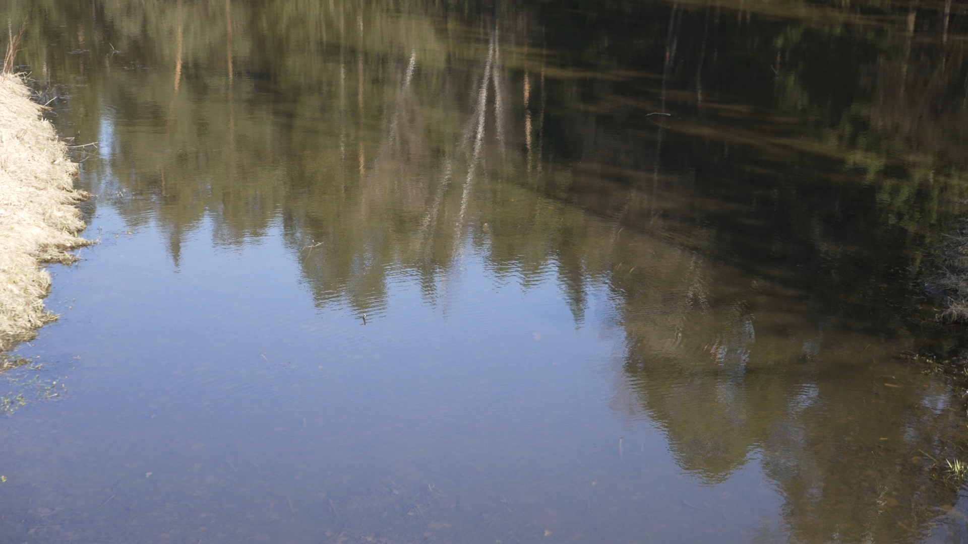 чистый берег, власиха озеро, среднее озеро власиха, уборка территории,
