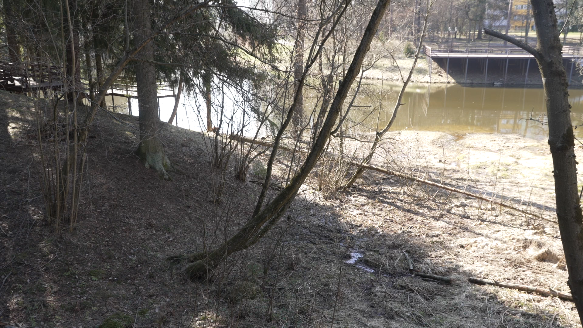 чистый берег, власиха озеро, среднее озеро власиха, уборка территории,