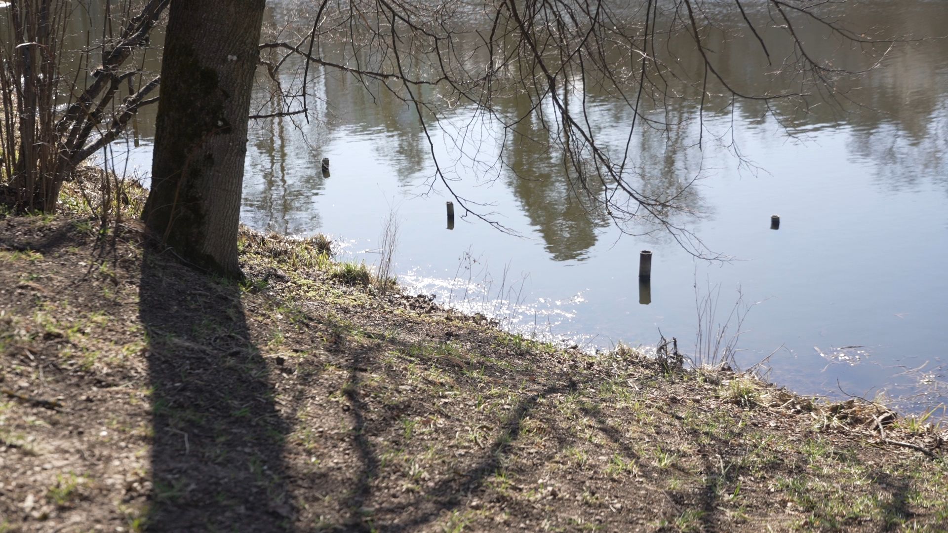 чистый берег, власиха озеро, среднее озеро власиха, уборка территории,