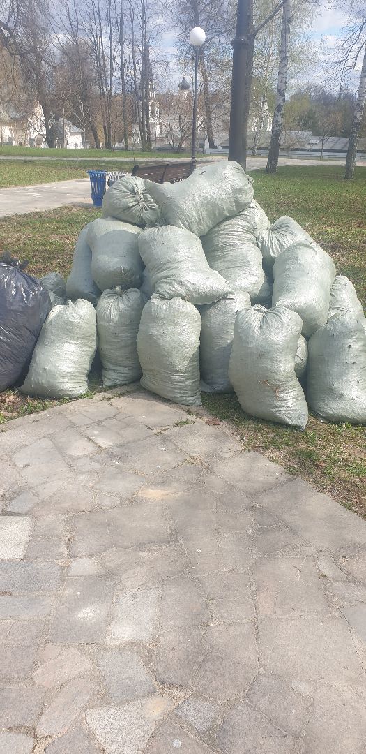 Долгопрудный, субботник, квест, раздельный сбор мусора