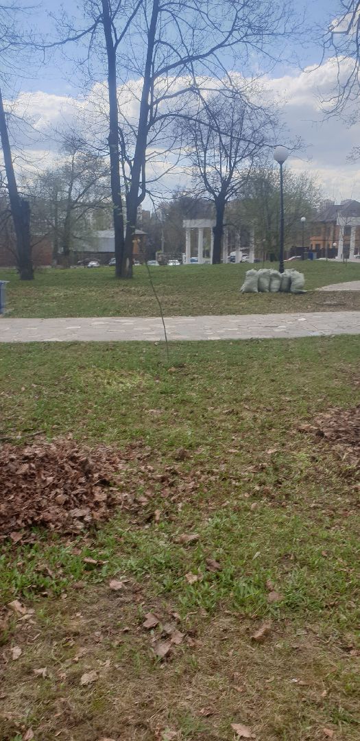 Долгопрудный, субботник, квест, раздельный сбор мусора