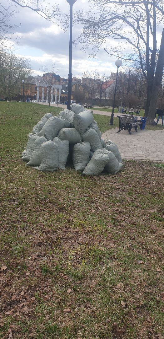 Долгопрудный, субботник, квест, раздельный сбор мусора