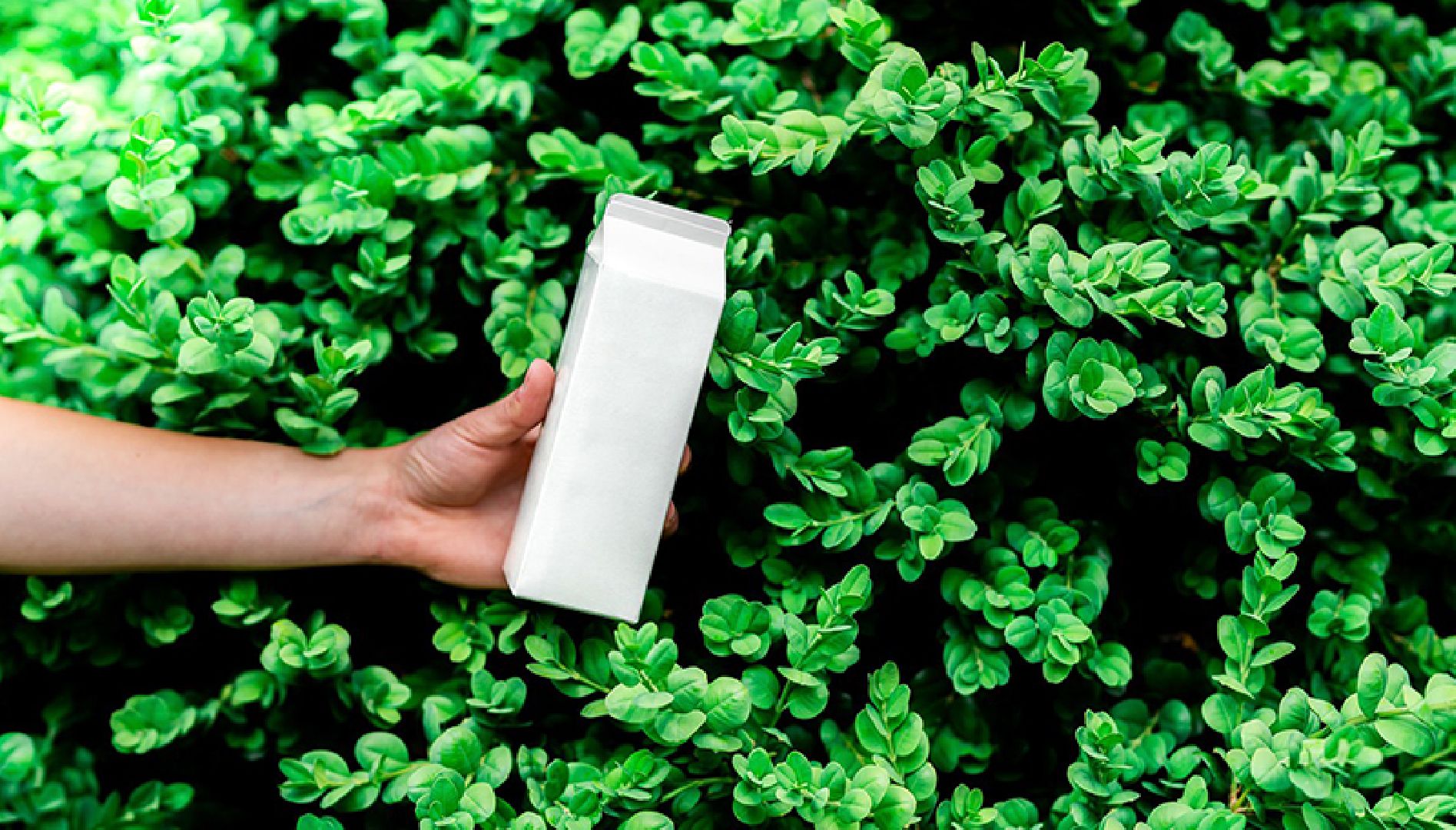 Чехов, симферопольское шоссе, завод МолоПак, картонная упаковка, производство, изготовление, пищевая промышленность, аналог Тетра Пак, аналог Пюр-Пак, форматы и виды упаковки,производительность предприятия, асептическая упаковка, упаковка из картона, упаковка для молочных продуктов соков и воды,  структура предприятия, история завода,