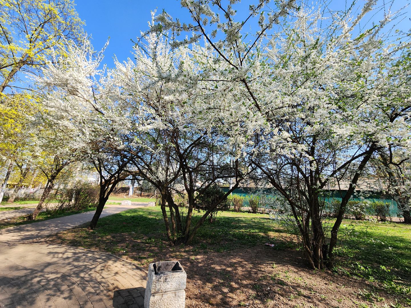 мытищи, комфортная городская среда,