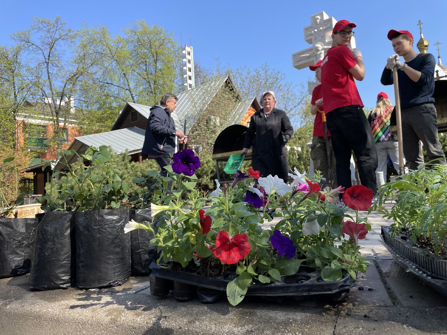 Цветы, студенты; Люберцы