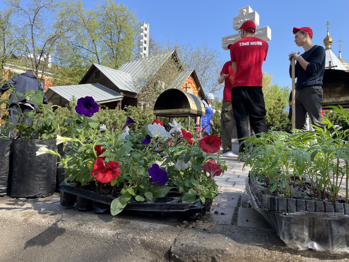 Цветы, студенты; Люберцы