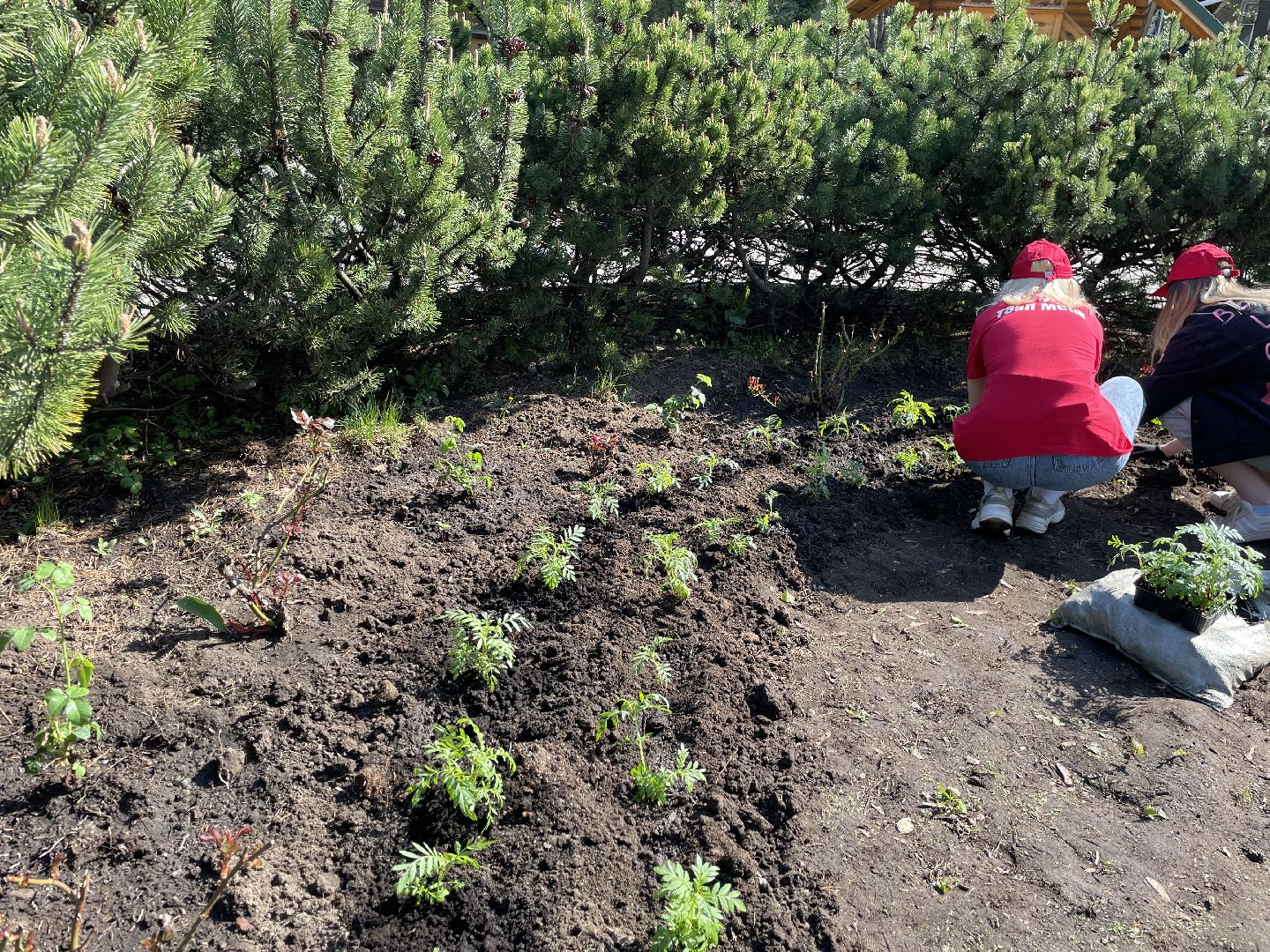 Цветы, студенты; Люберцы