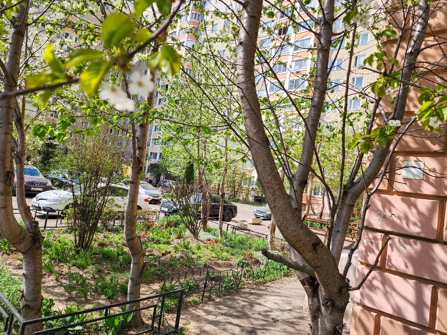 Подольск, сад камней памяти и славы, весна, Жители мкд,Вертикалка,