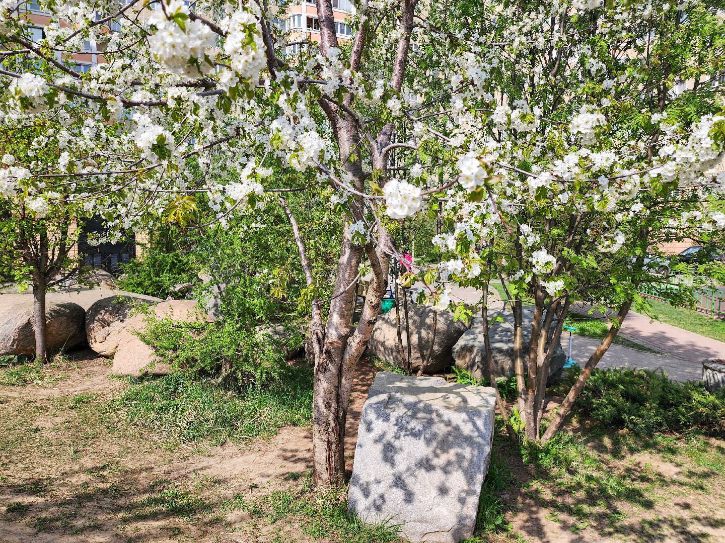 Подольск, сад камней памяти и славы, весна, Жители мкд,Вертикалка,