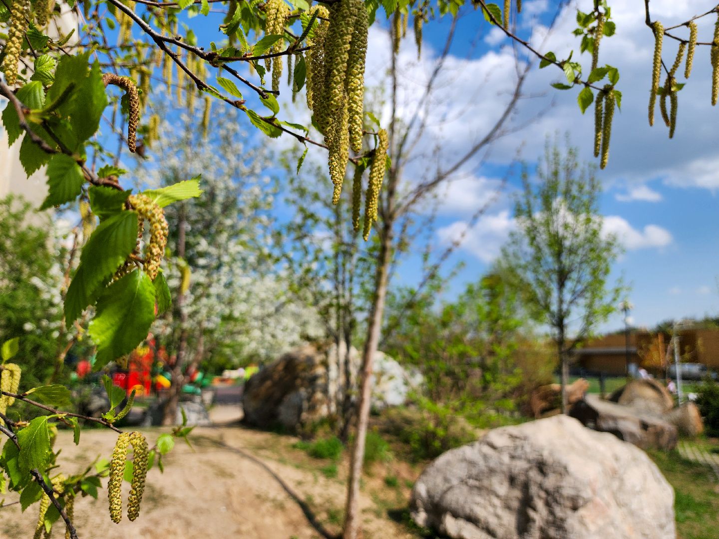 Подольск, сад камней памяти и славы, весна, Жители мкд,Вертикалка,