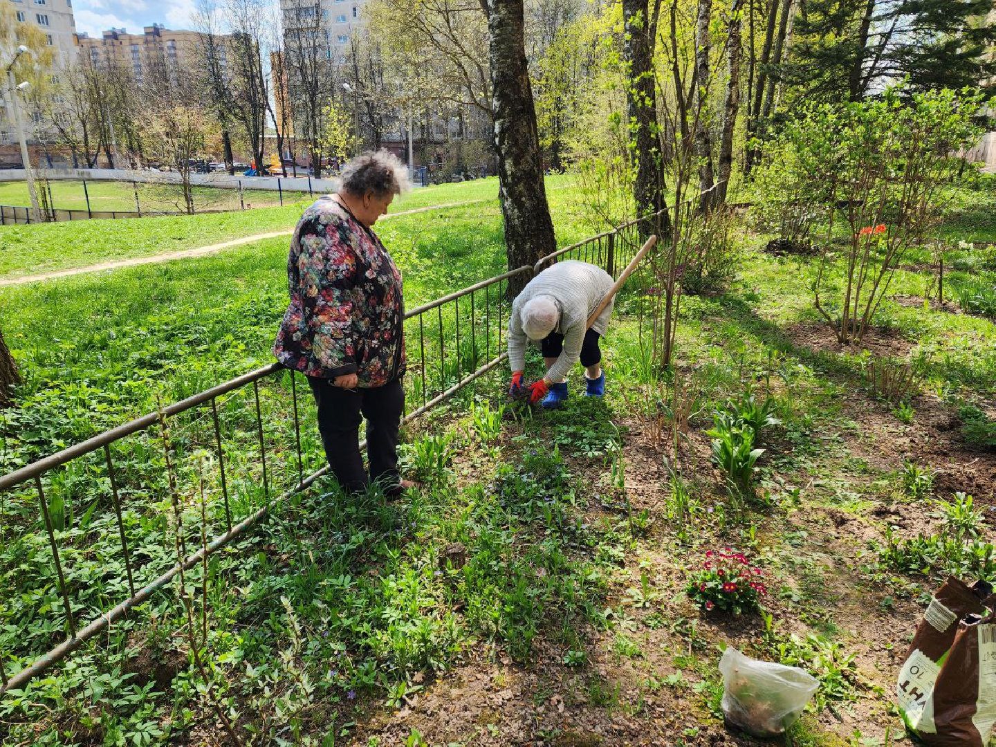 солнечногорск, жители, двор, улица, цветы, растения,