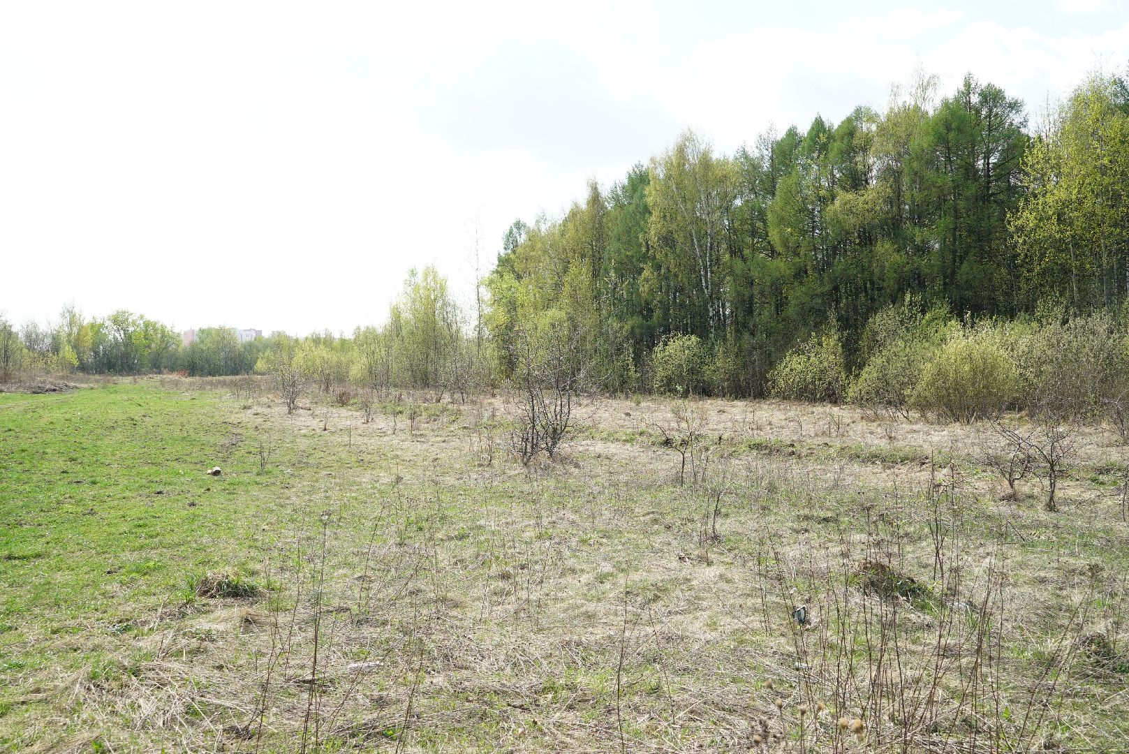 пожар, безопасность, лес, трава,