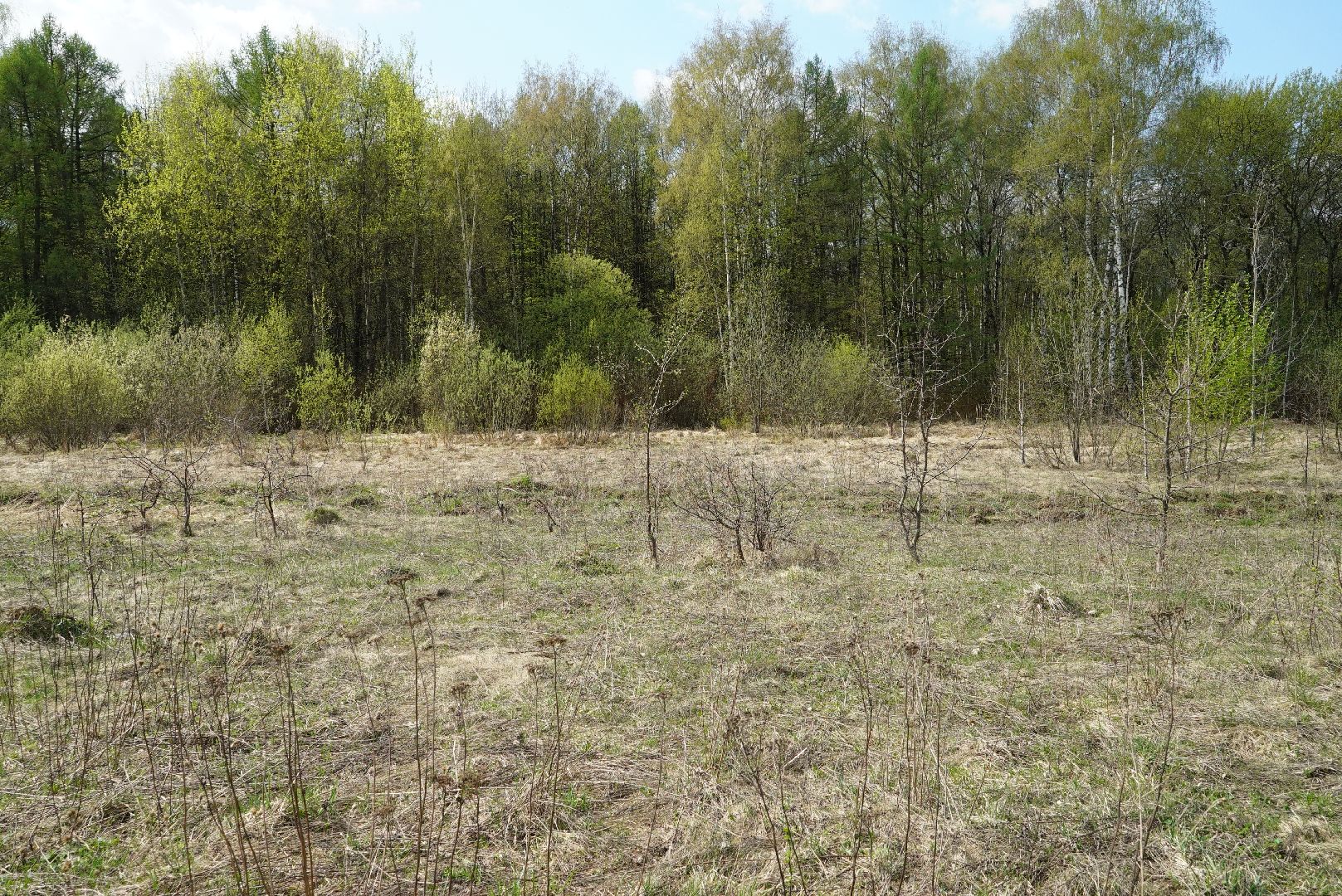 пожар, безопасность, лес, трава,