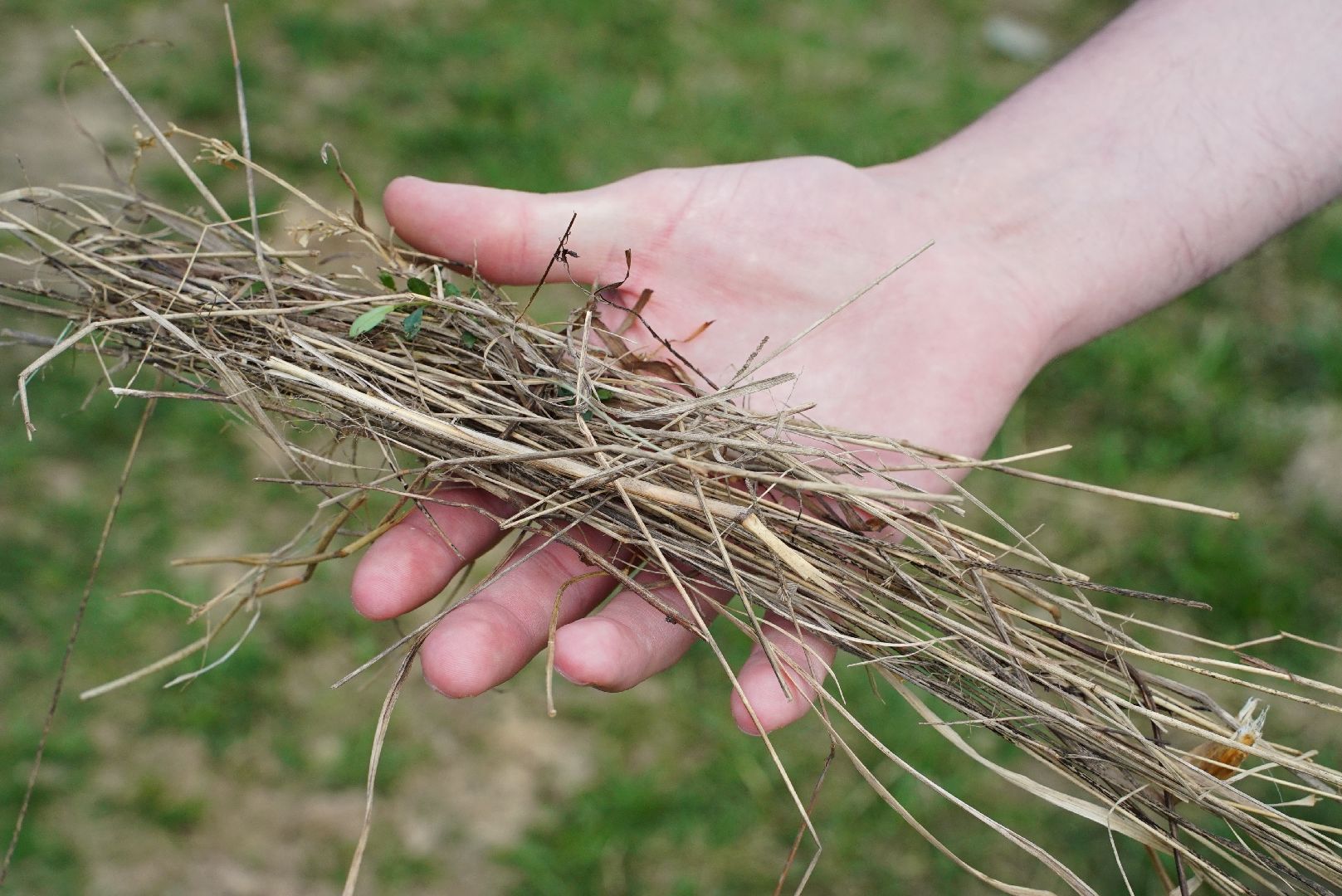пожар, безопасность, лес, трава,