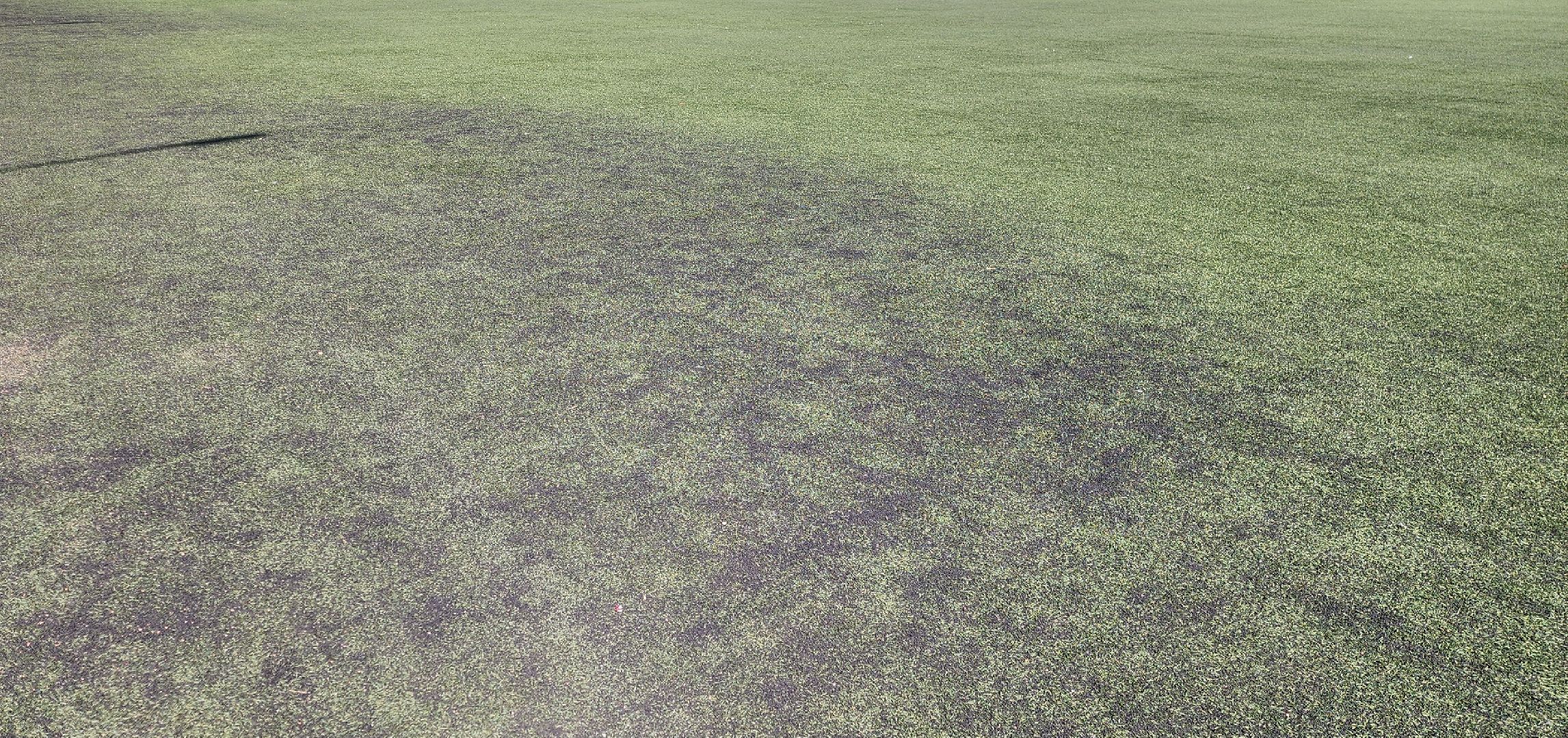 Химки, благоустройство,