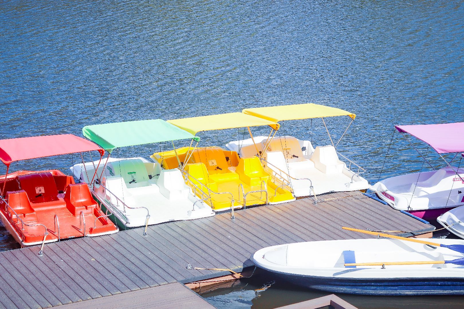 клин, общество, парки подмосковья, прокат водного инвентаря, лето,