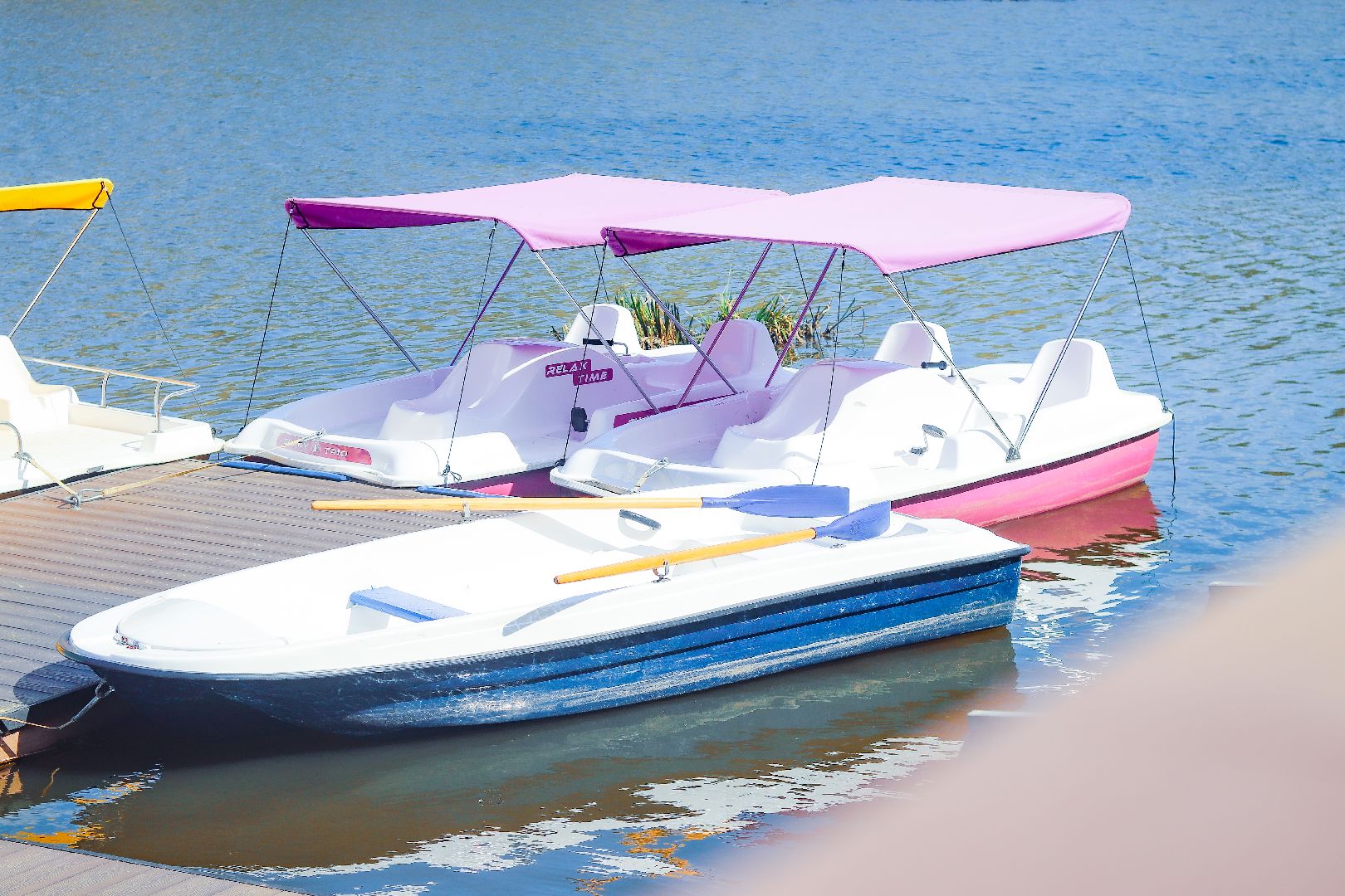 клин, общество, парки подмосковья, прокат водного инвентаря, лето,