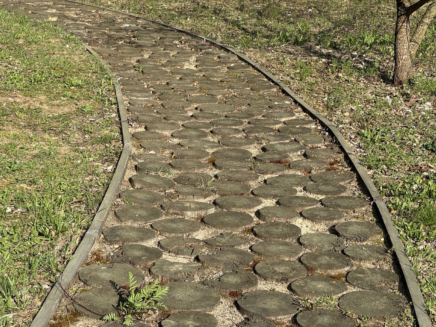 благоуствойство, национальный парк лосиный остров,