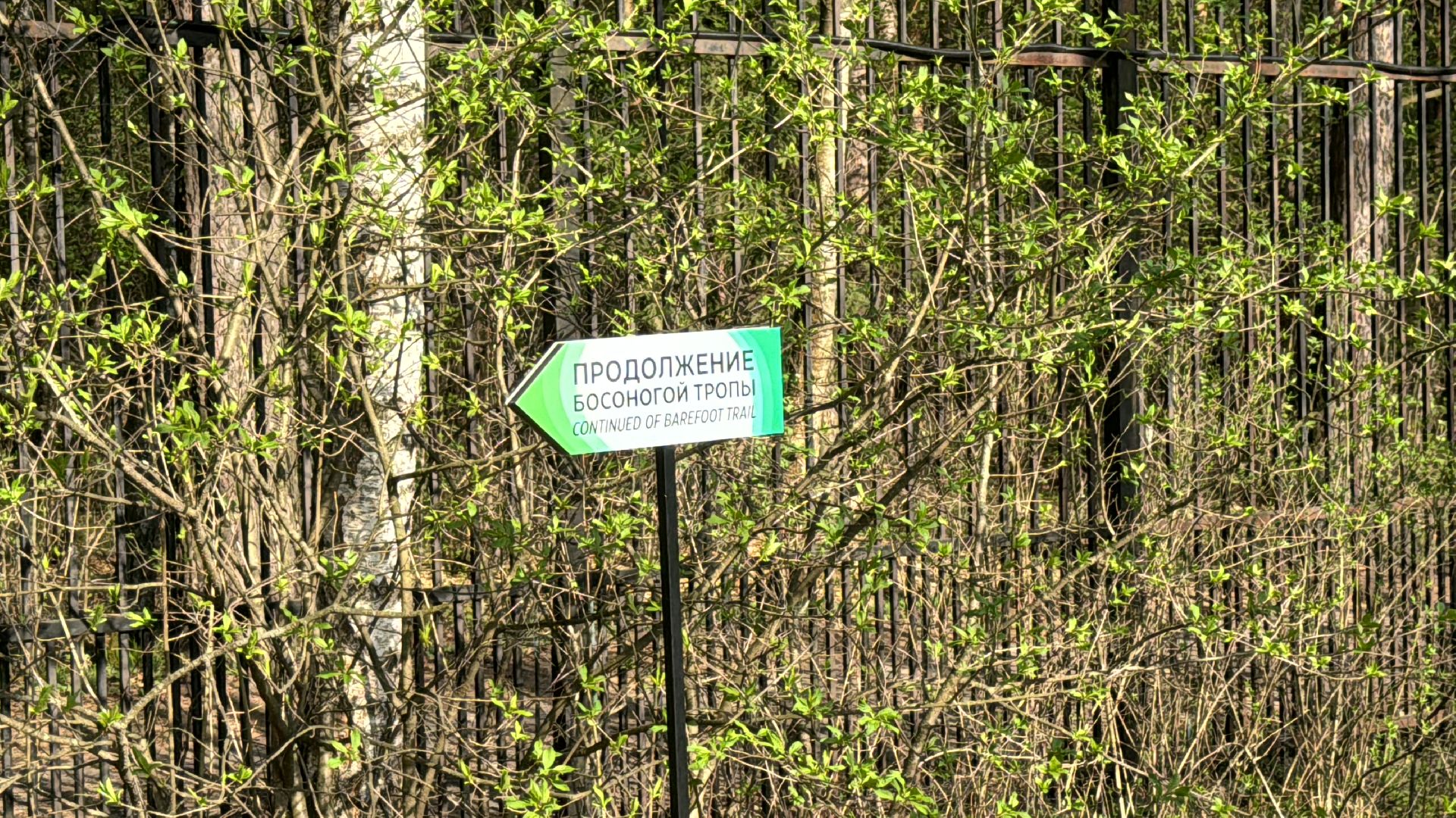 благоуствойство, национальный парк лосиный остров,