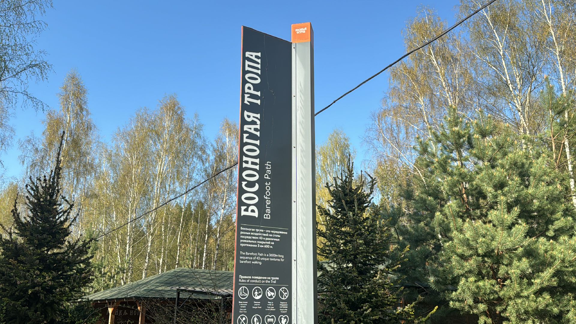 благоуствойство, национальный парк лосиный остров,