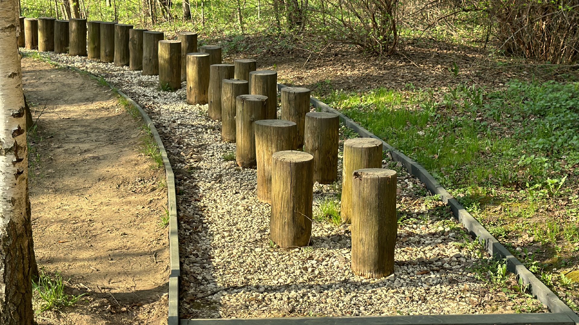 благоуствойство, национальный парк лосиный остров,
