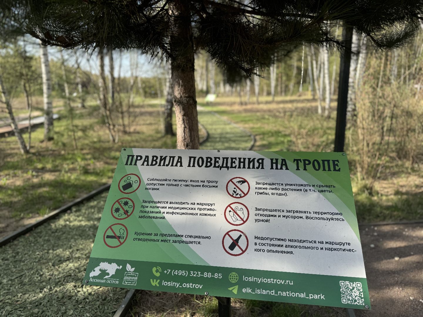 благоуствойство, национальный парк лосиный остров,