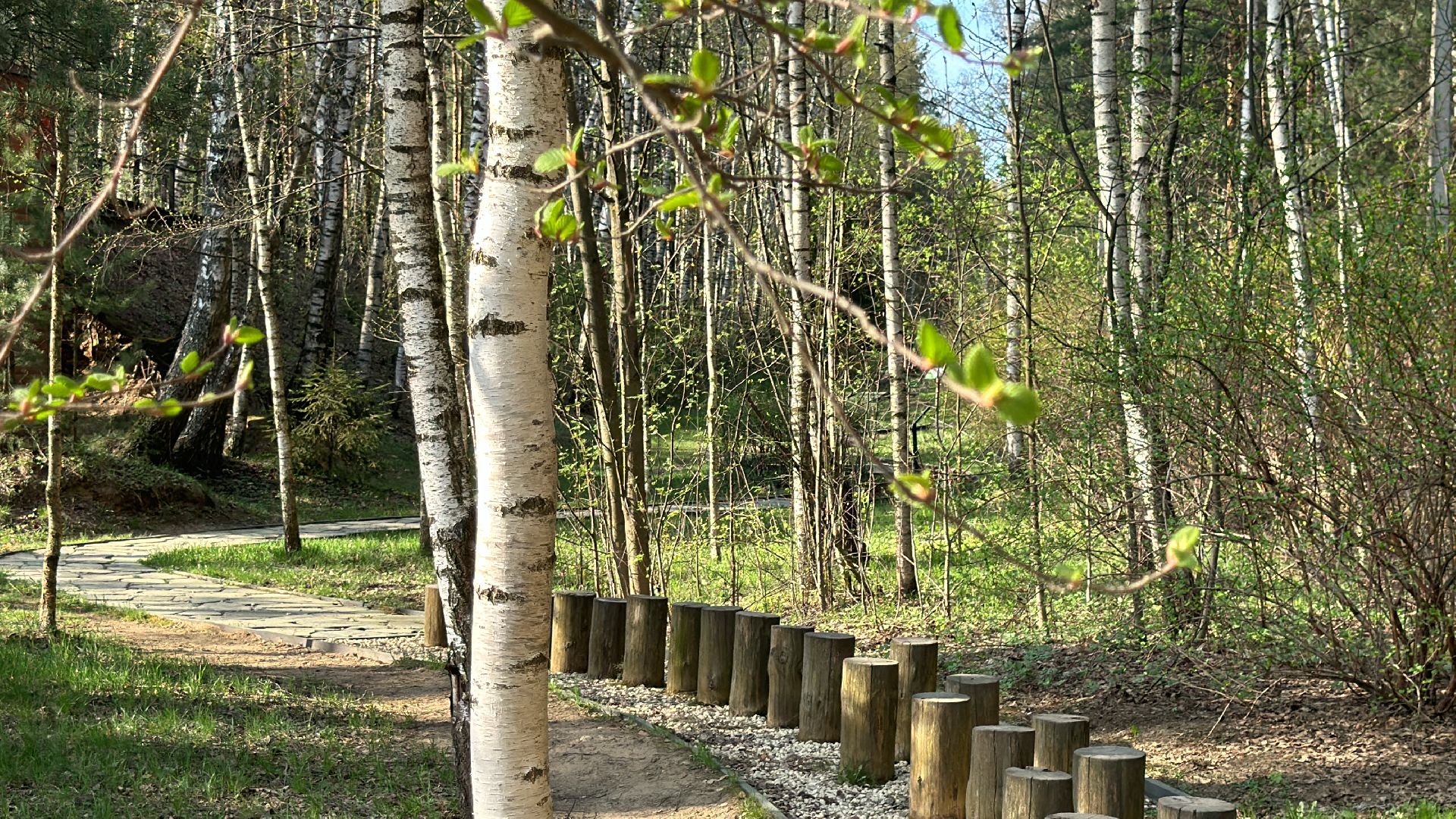 благоуствойство, национальный парк лосиный остров,