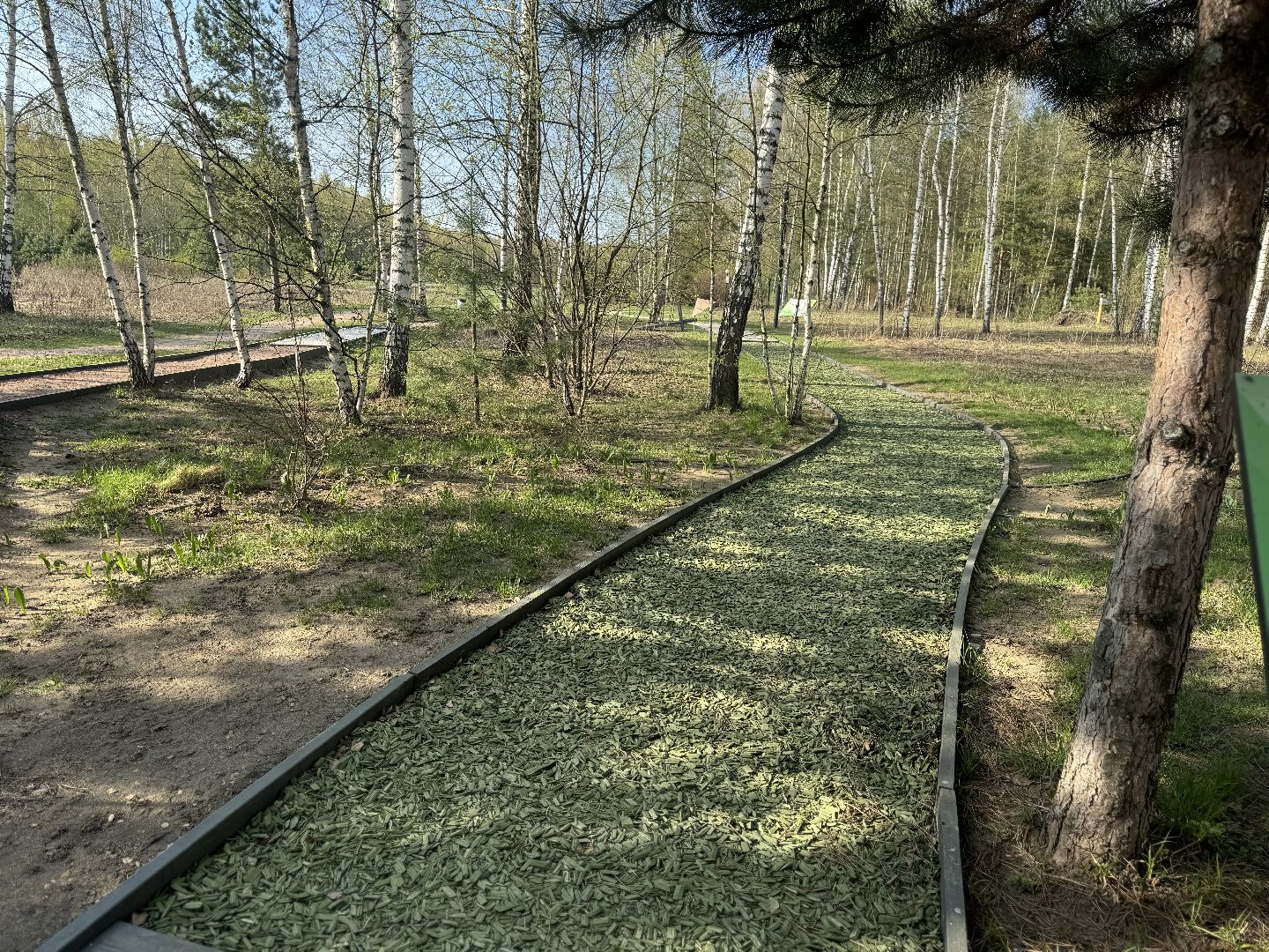 благоуствойство, национальный парк лосиный остров,
