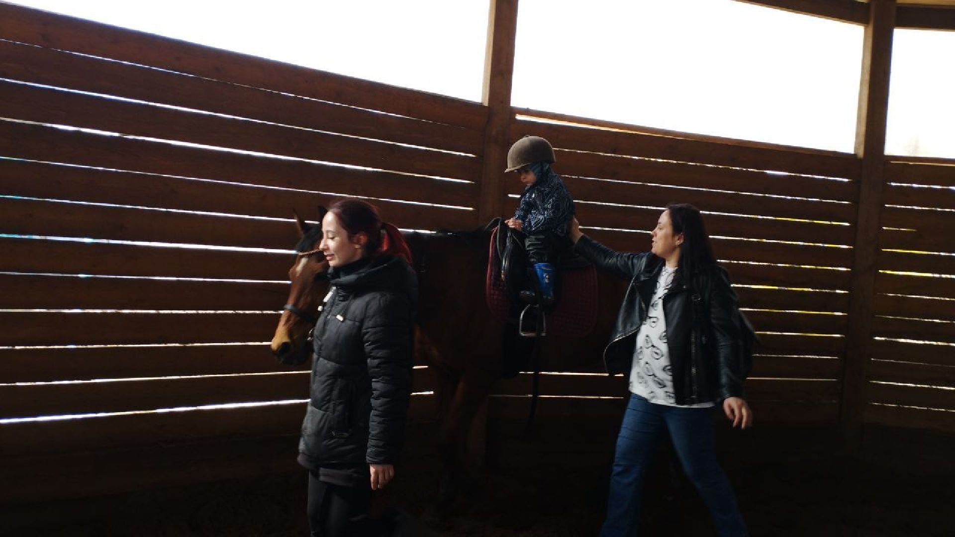 пушкинский, конный клуб, дети с овз, иппотерапия, социальная адаптация, лошади,