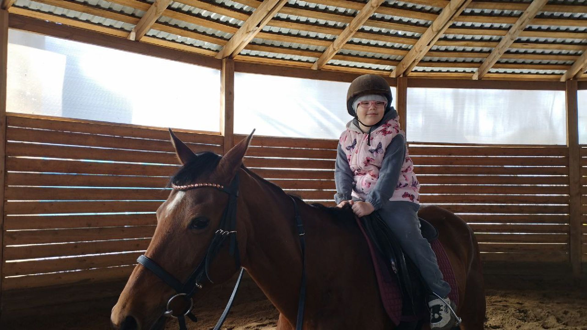 пушкинский, конный клуб, дети с овз, иппотерапия, социальная адаптация, лошади,