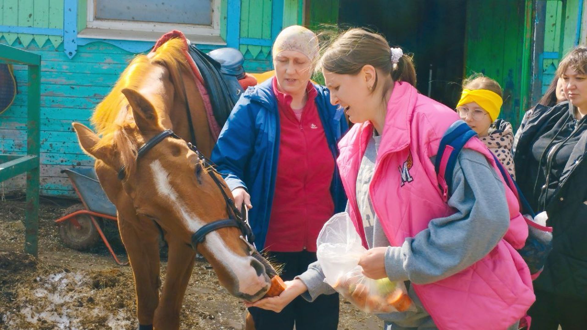 пушкинский, конный клуб, дети с овз, иппотерапия, социальная адаптация, лошади,