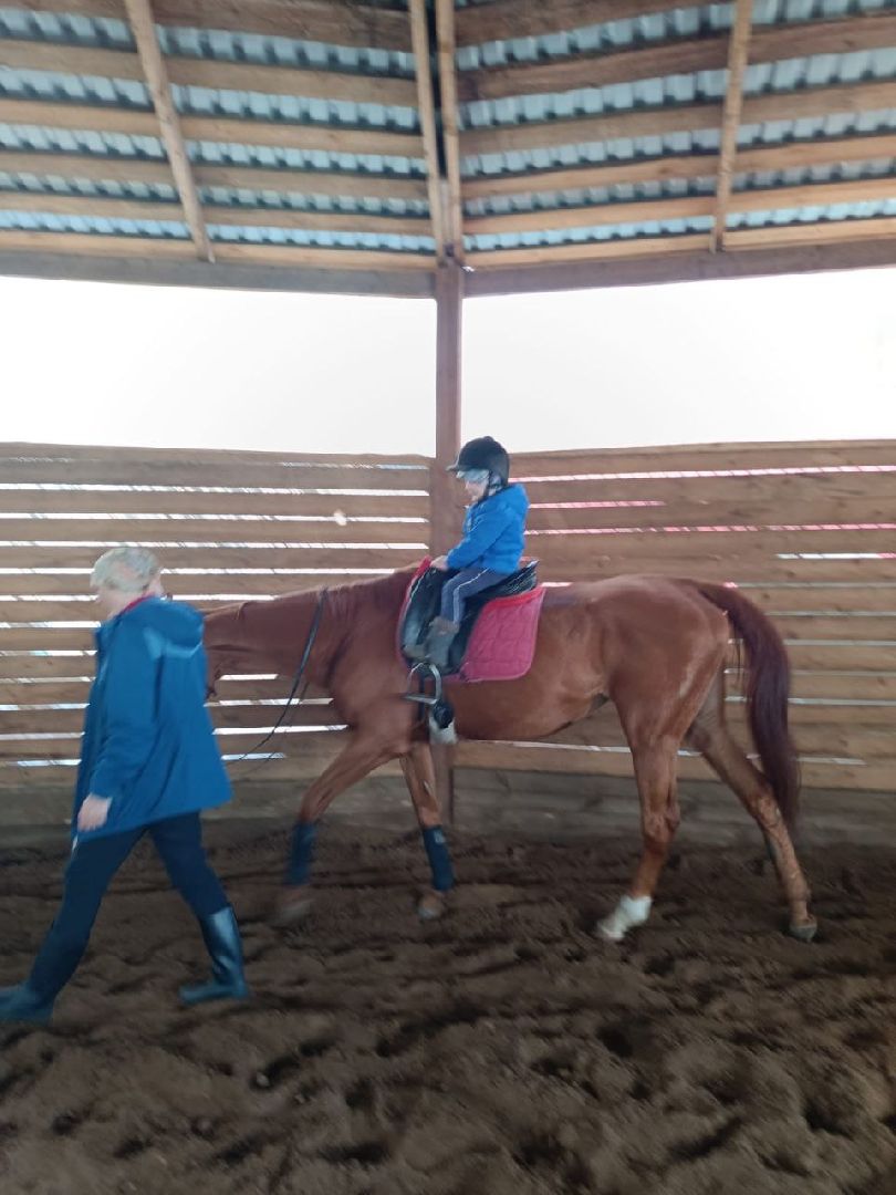 пушкинский, конный клуб, дети с овз, иппотерапия, социальная адаптация, лошади,