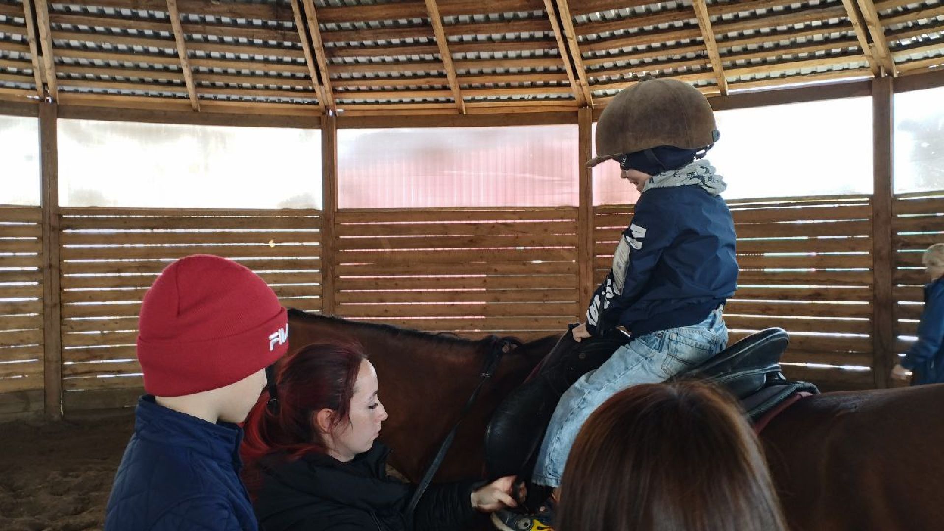 пушкинский, конный клуб, дети с овз, иппотерапия, социальная адаптация, лошади,