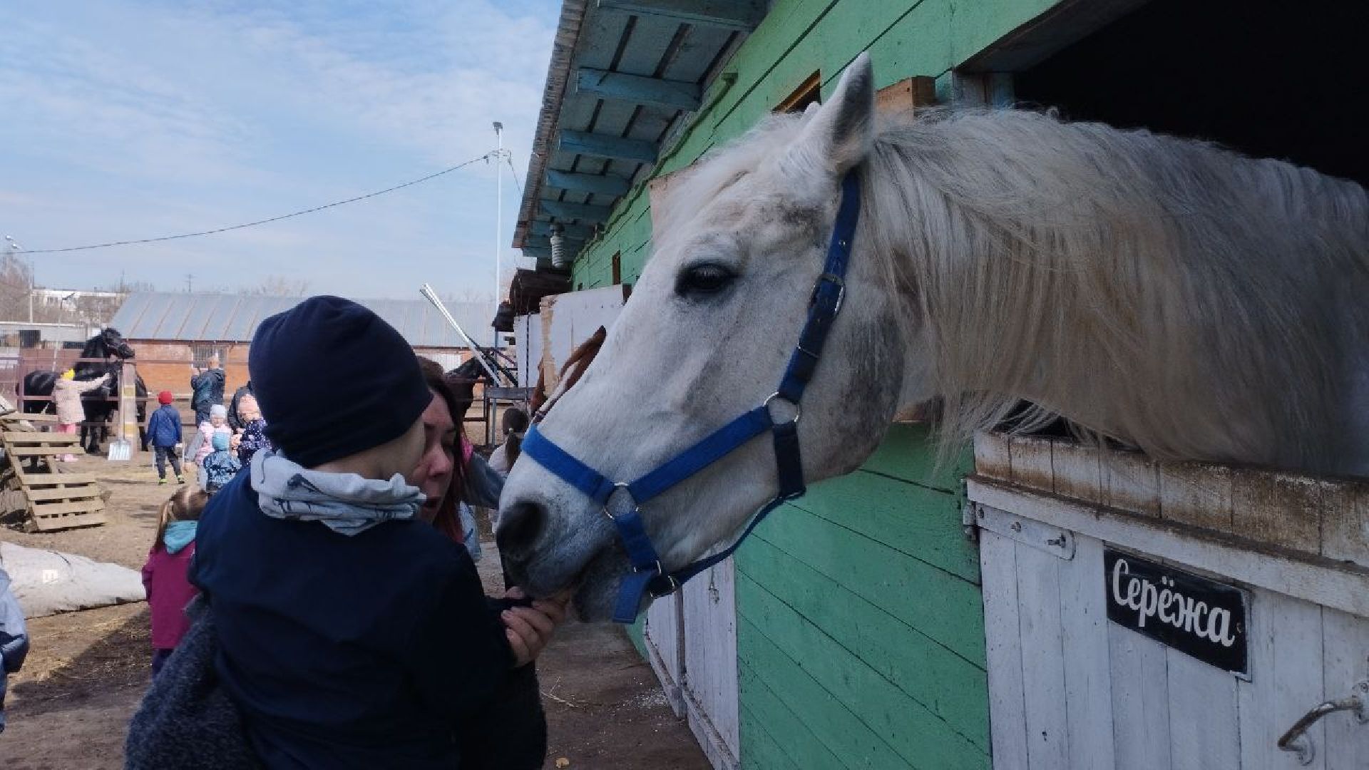 пушкинский, конный клуб, дети с овз, иппотерапия, социальная адаптация, лошади,