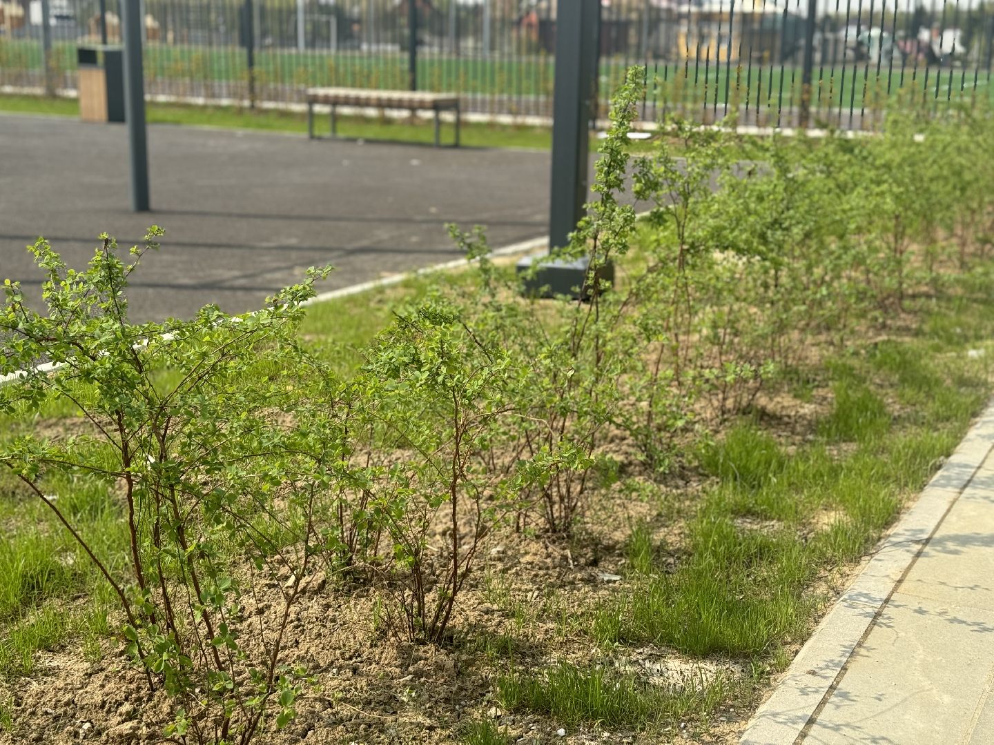 новая школа на 1100 мест, ленинский городской округ, жк горки парк,