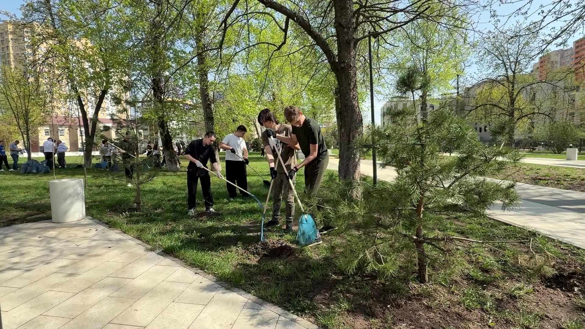 реутов, благоустройство, субботник, чистота, грабли, мусор,