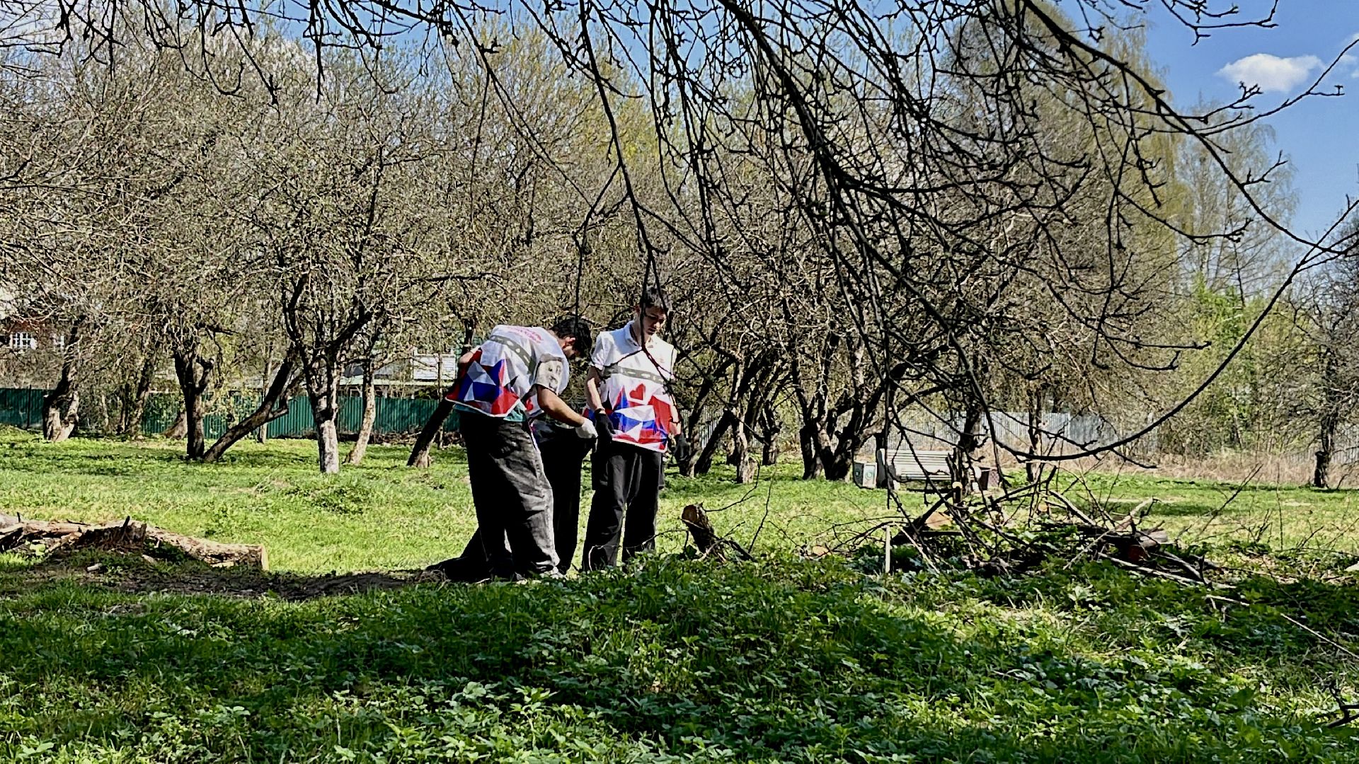 наро-фоминск, наро-фоминский городской округ, субботник, яблоневый сад, молодежь наро-фоминска,волонтеры подмосковья,