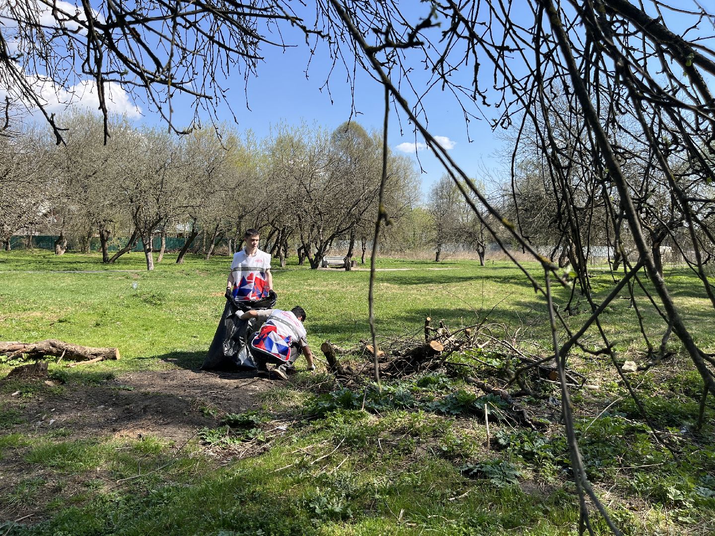 наро-фоминск, наро-фоминский городской округ, субботник, яблоневый сад, молодежь наро-фоминска,волонтеры подмосковья,