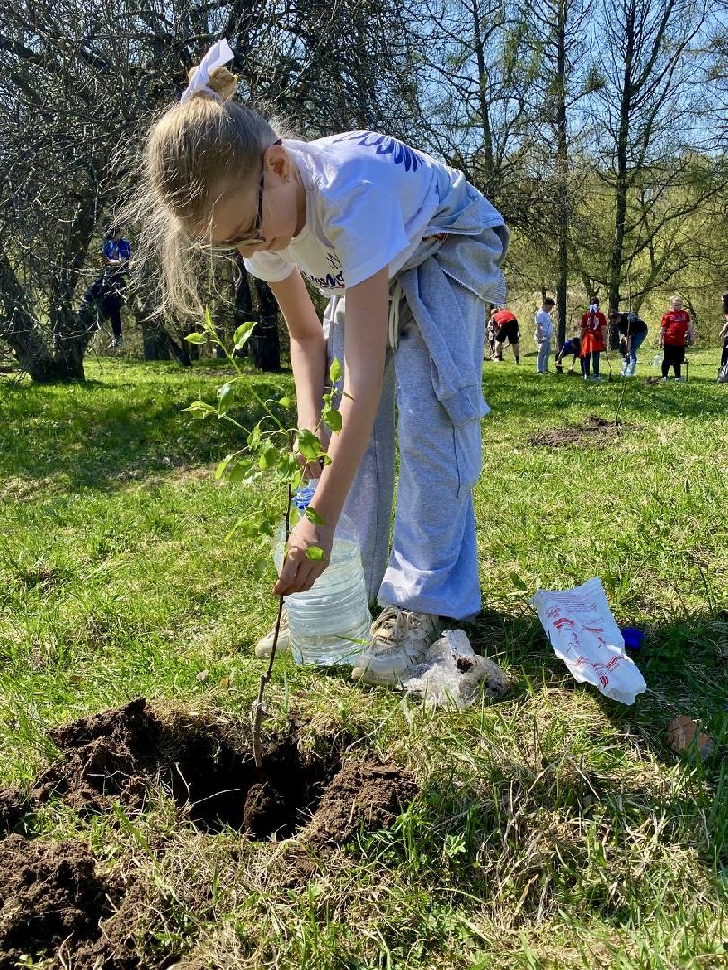 наро-фоминск, наро-фоминский городской округ, субботник, яблоневый сад, молодежь наро-фоминска,волонтеры подмосковья,